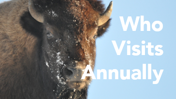 Who Visits Annually